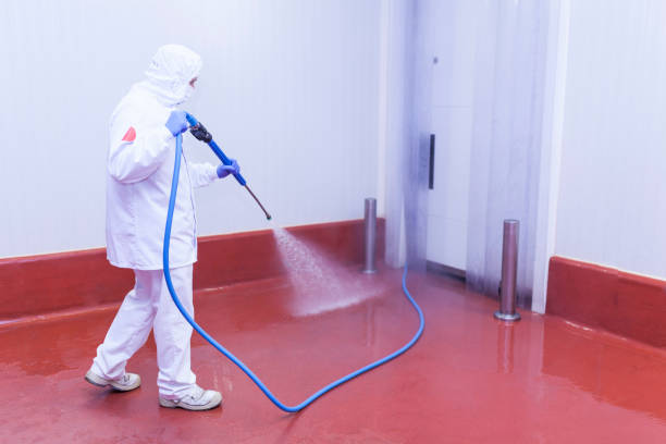 Best Graffiti Removal  in St Paul, VA